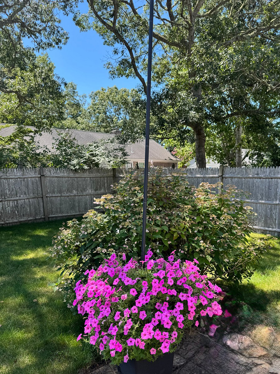 Home is not fully fenced in