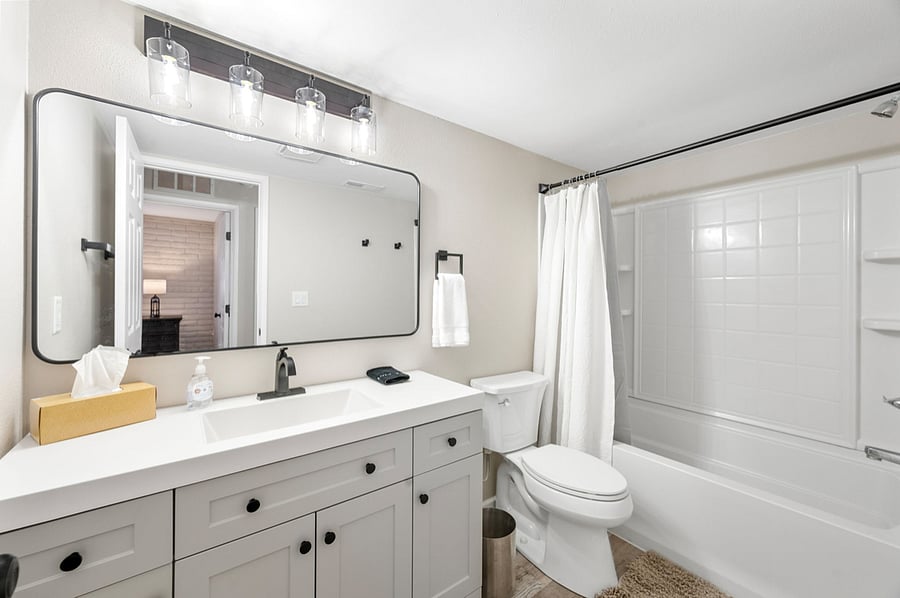 Lower level bathroom.