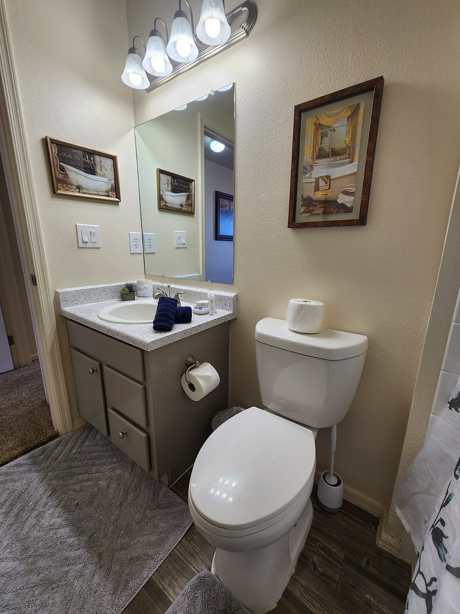 Furnished Finder property 762456_1 photo 20