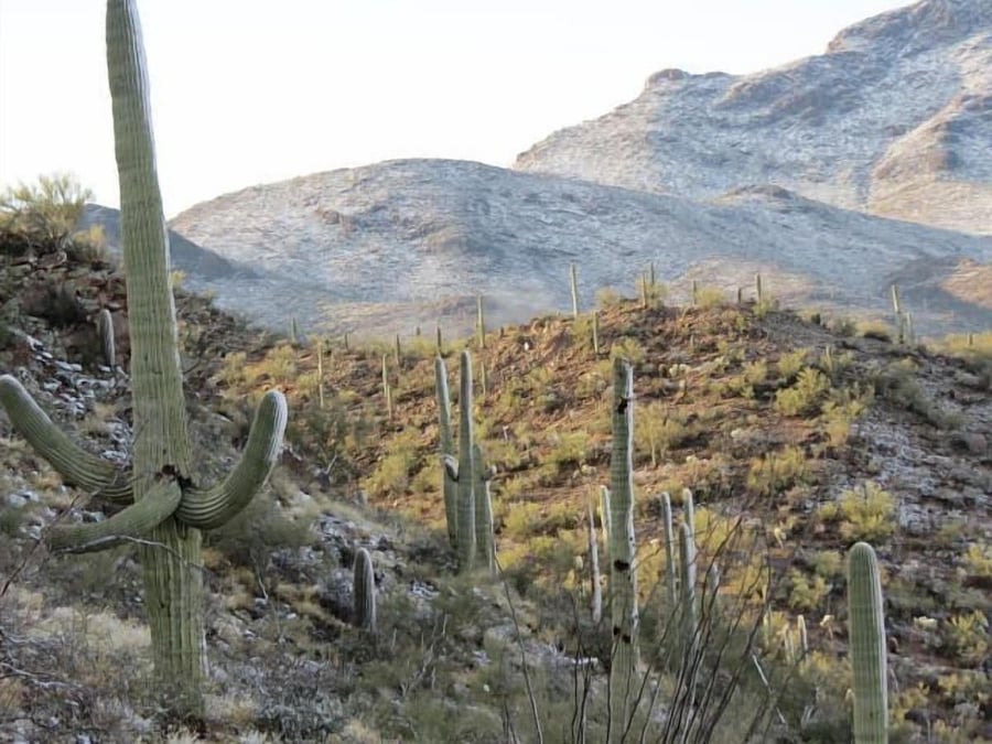 Unusual New Year's Eve snow!Hike 