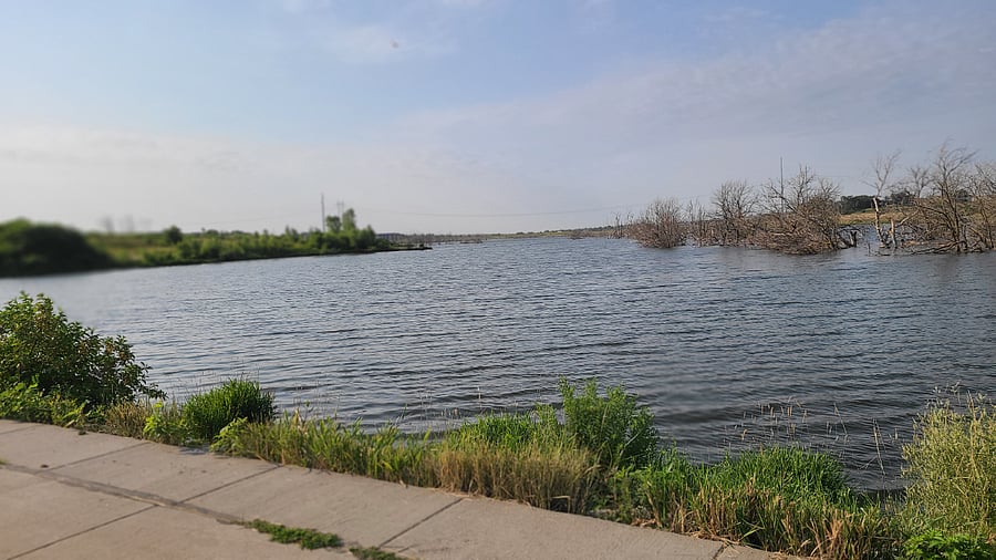 5 mile loop lake trail one block from house.