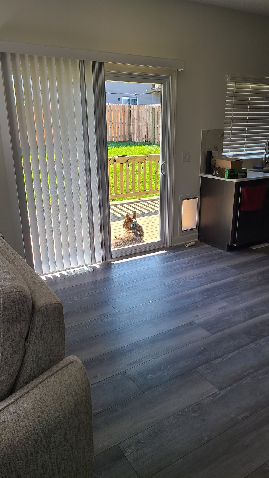 Dog door - for our furry friends :)