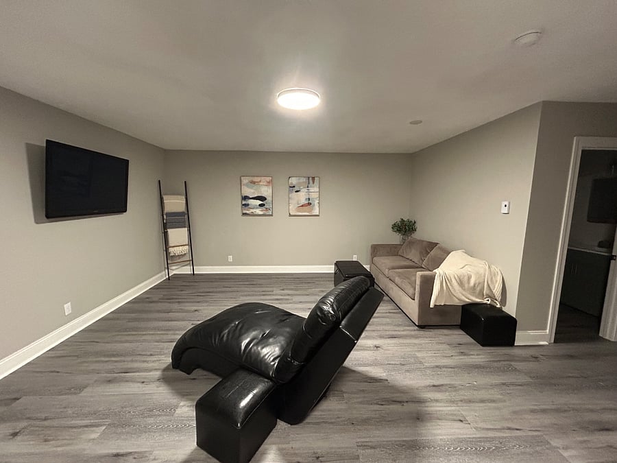 Basement living room