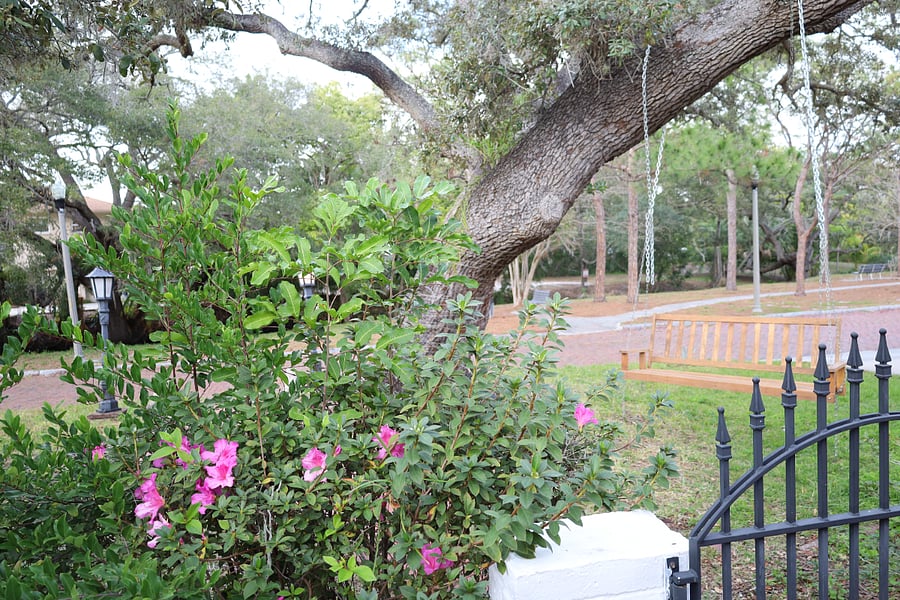 Furnished Finder property 762821_1 photo 42