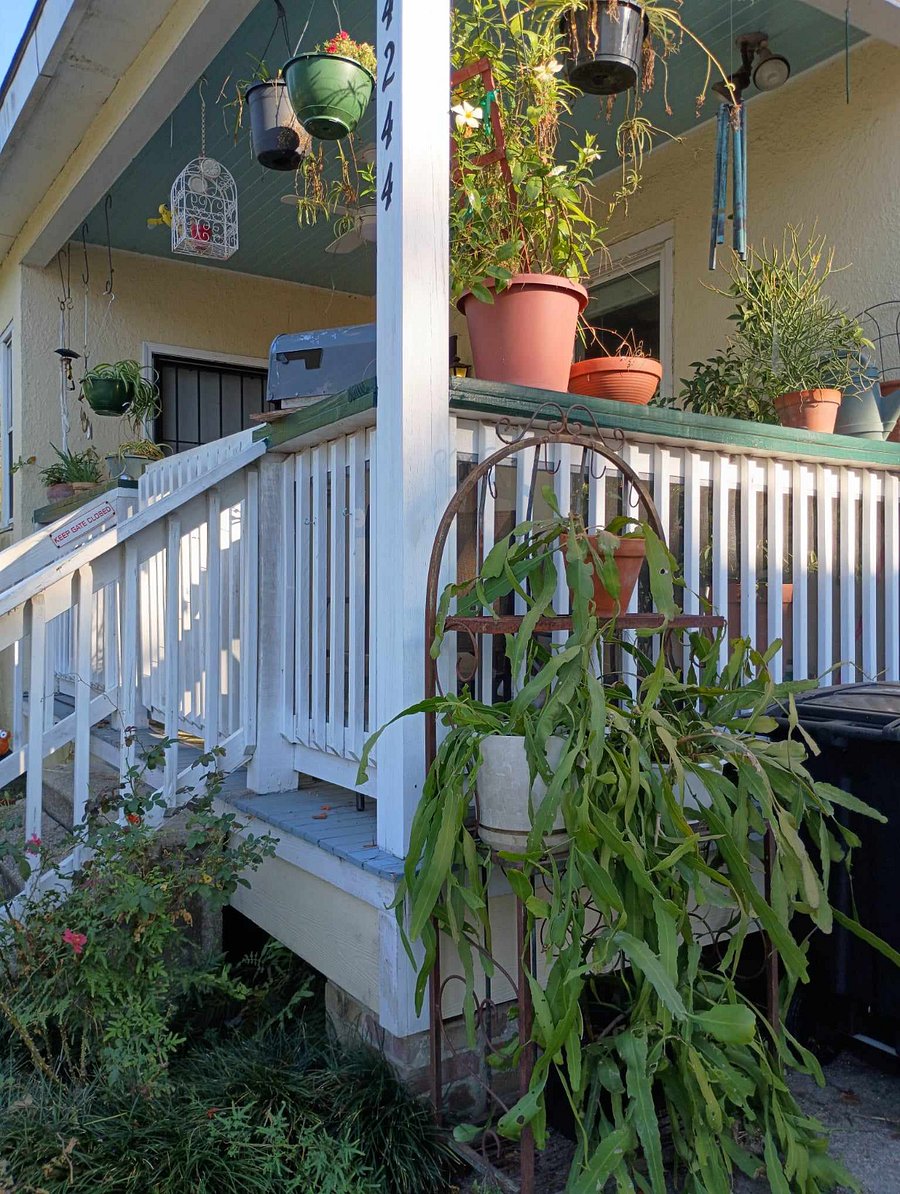 Furnished Finder property 762852_1 photo 3