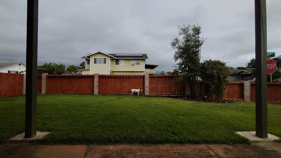 Furnished Finder property 763059_2 photo 12