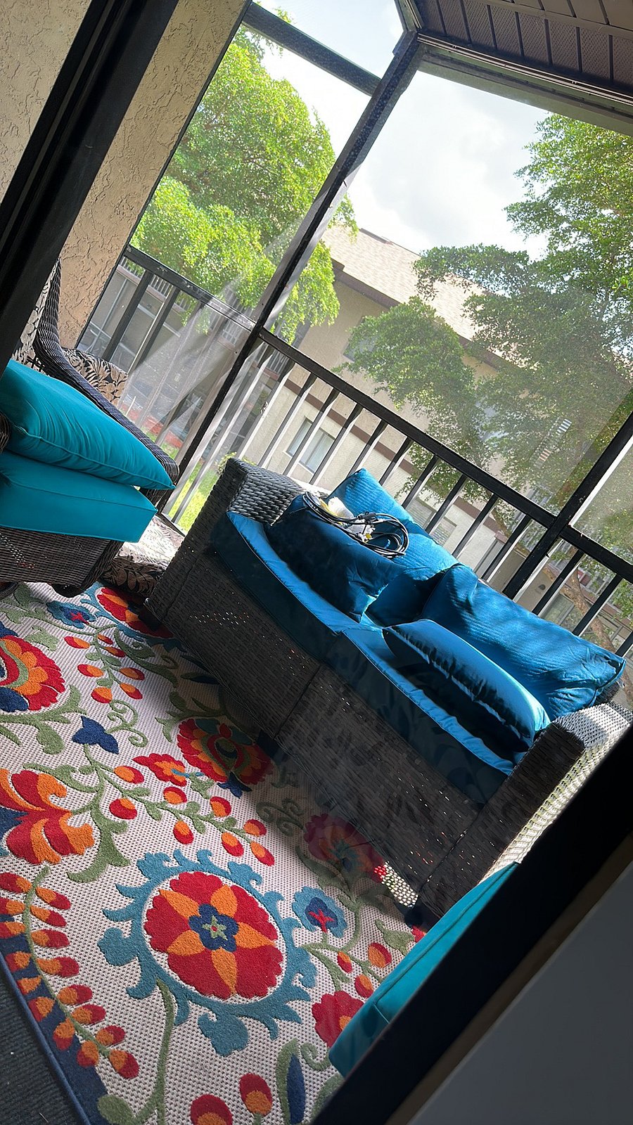 Screened in porch and the tree gets filled with different species of birds
