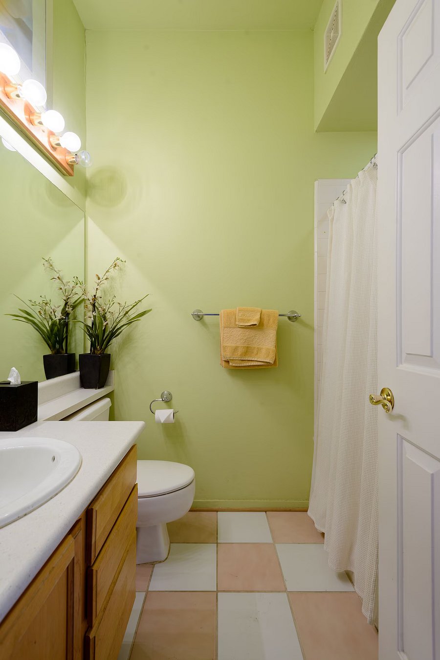 Guest Bathroom with walk-in shower