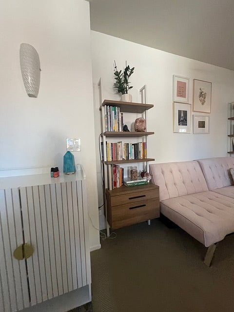 upstairs loft area with bookcases and a very comfortable futon