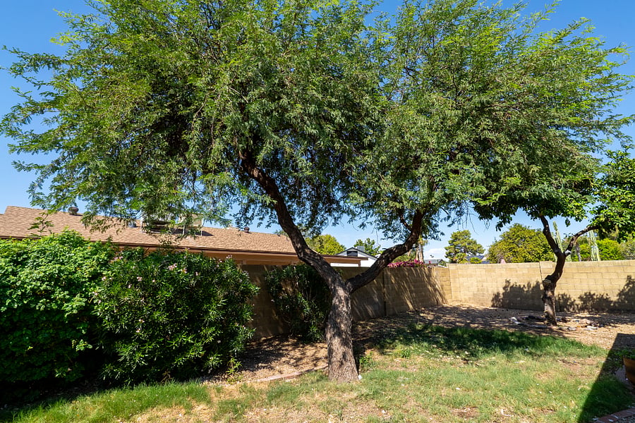 Furnished Finder property 763422_1 photo 3