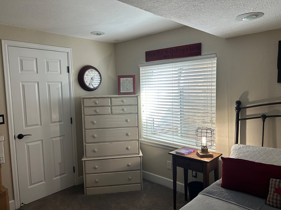 Lower level bedroom