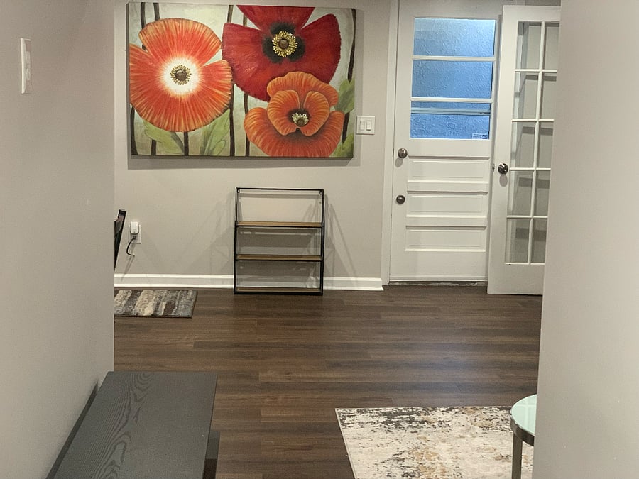 living room / main entrance 