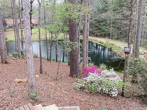 Furnished Finder property 764065_1 photo 37