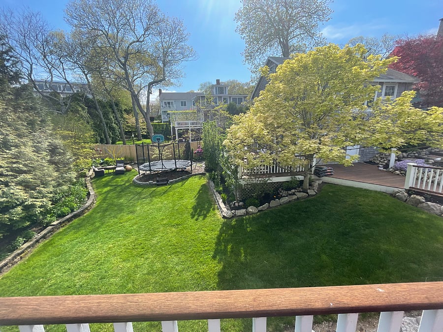 Shared Backyard