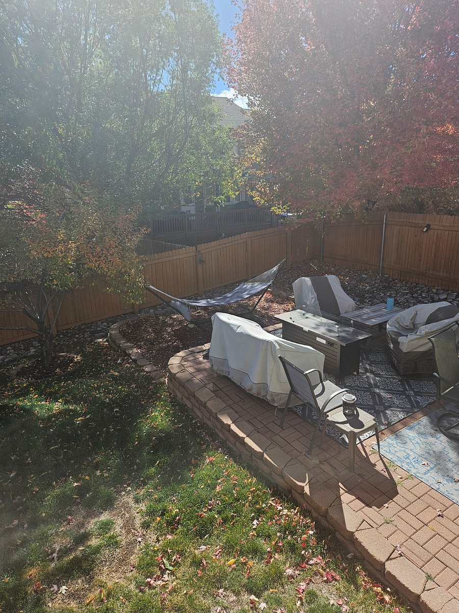 Back patio