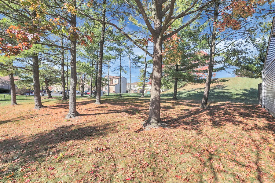 Furnished Finder property 764292_1 photo 12