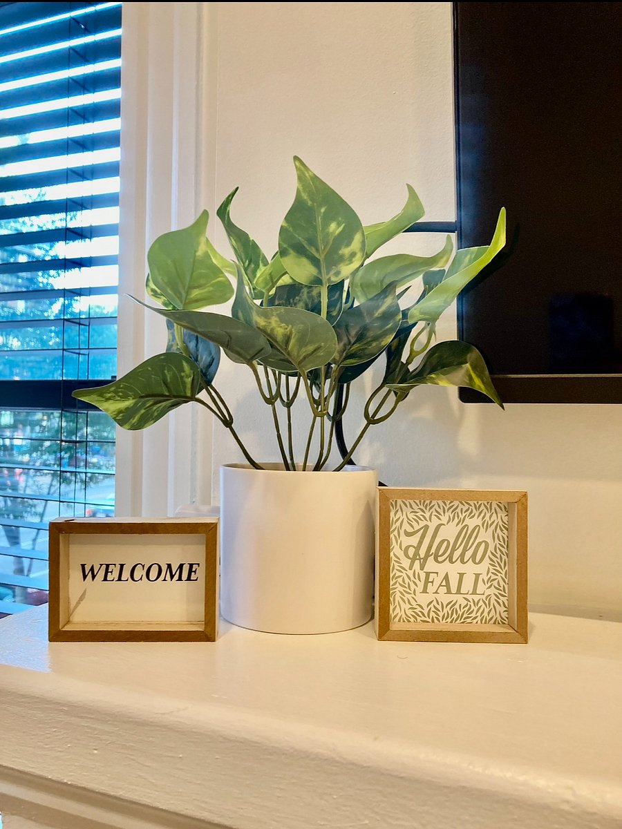 Furnished Finder property 764372_1 photo 6