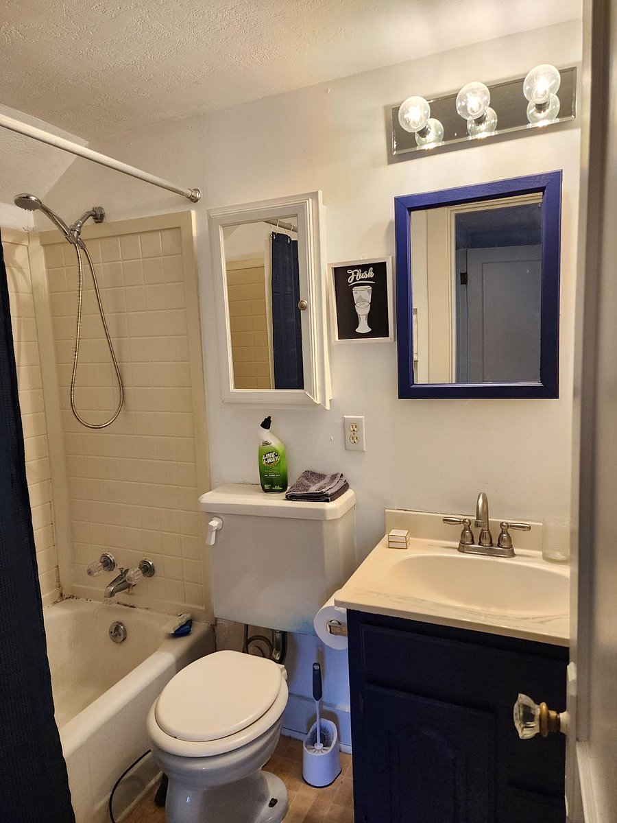 Furnished Finder property 764413_2 photo 11