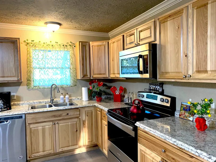 Electric Stove, Oven, Seasonings, Oil, Vinegar, fry pans, cookie sheet, pizza pan