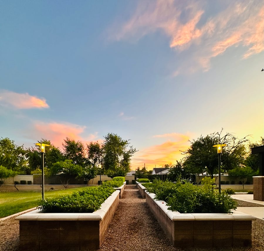Community garden