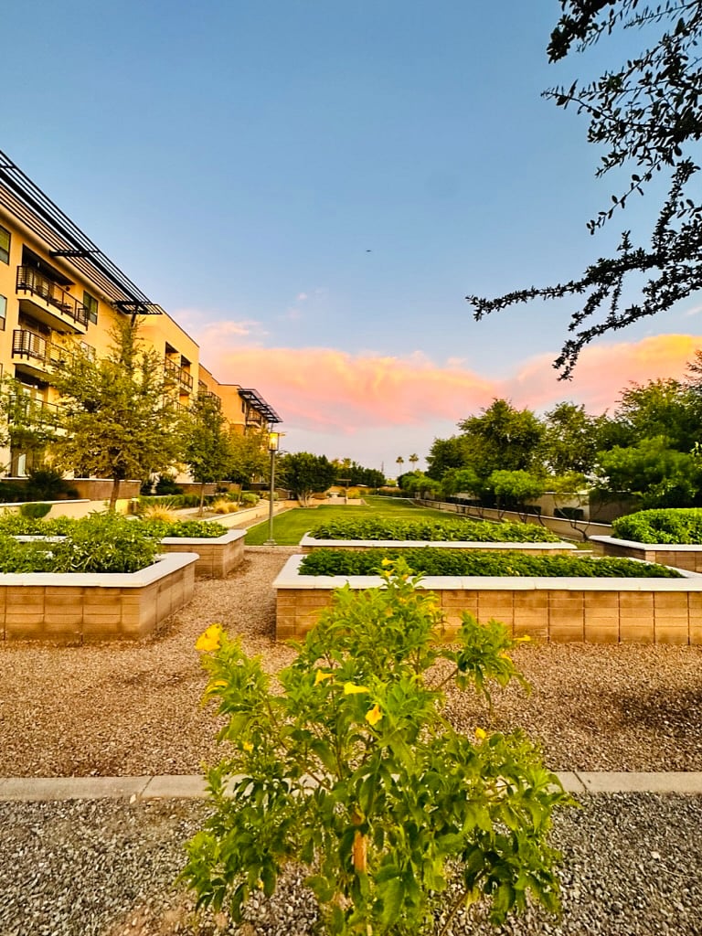 Community garden and green space 