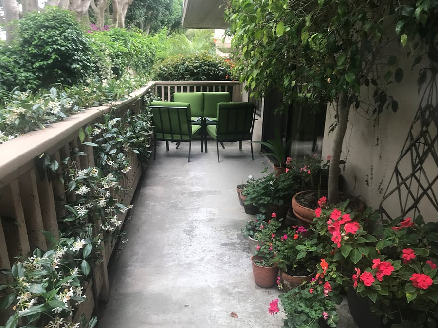 Spacious Patio with seating and a barbecue