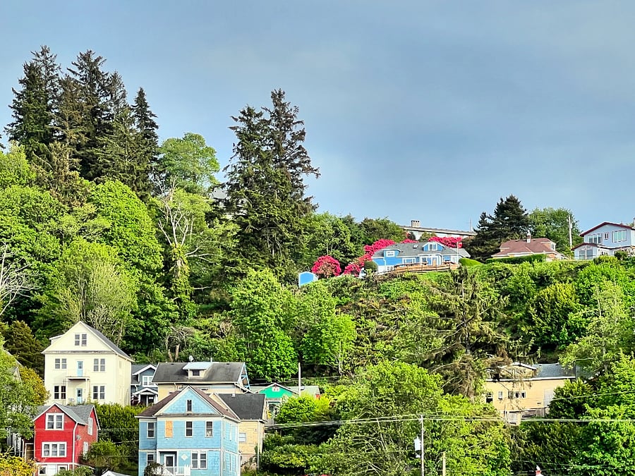 This is a view of the house from the Riverwalk down below - our house is the one surrounded by flowers