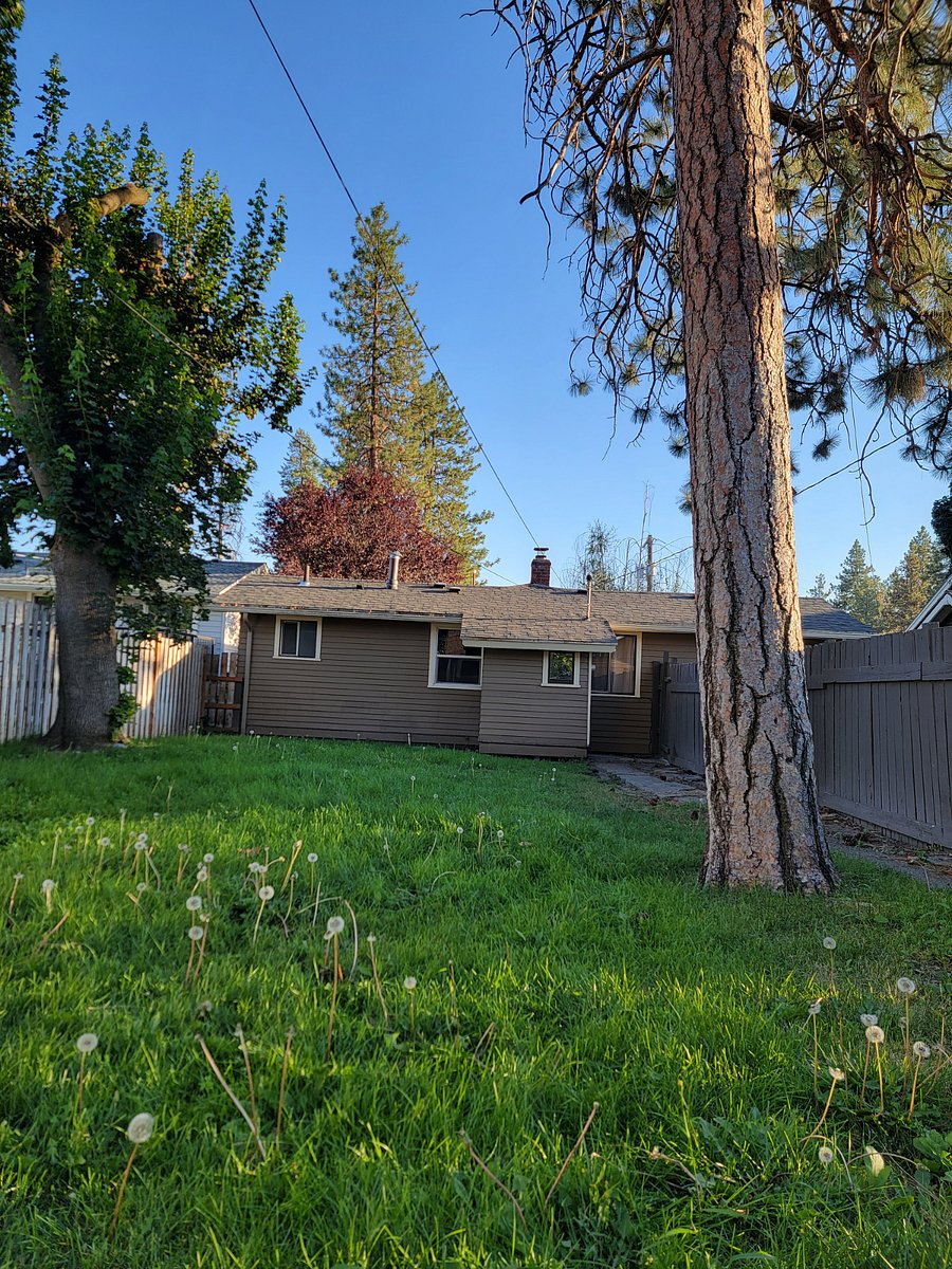 Furnished Finder property 765371_1 photo 15