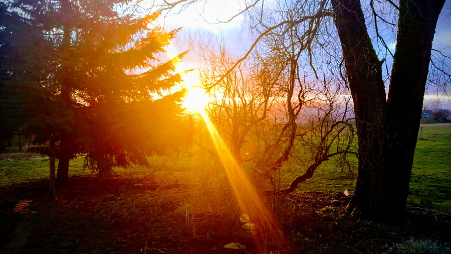 Beautiful sunsets