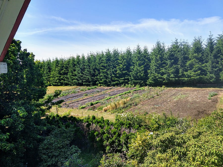 view of garden from 2nd floor