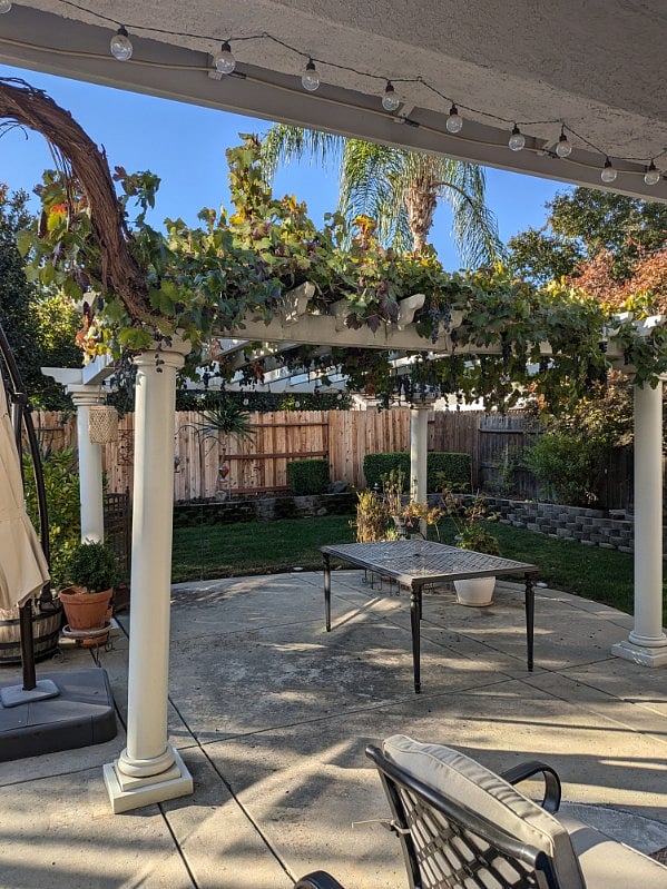 Furnished Finder property 765585_1 photo 7