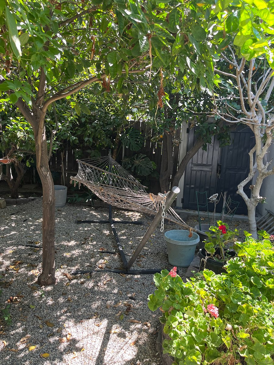 Furnished Finder property 765709_1 photo 26