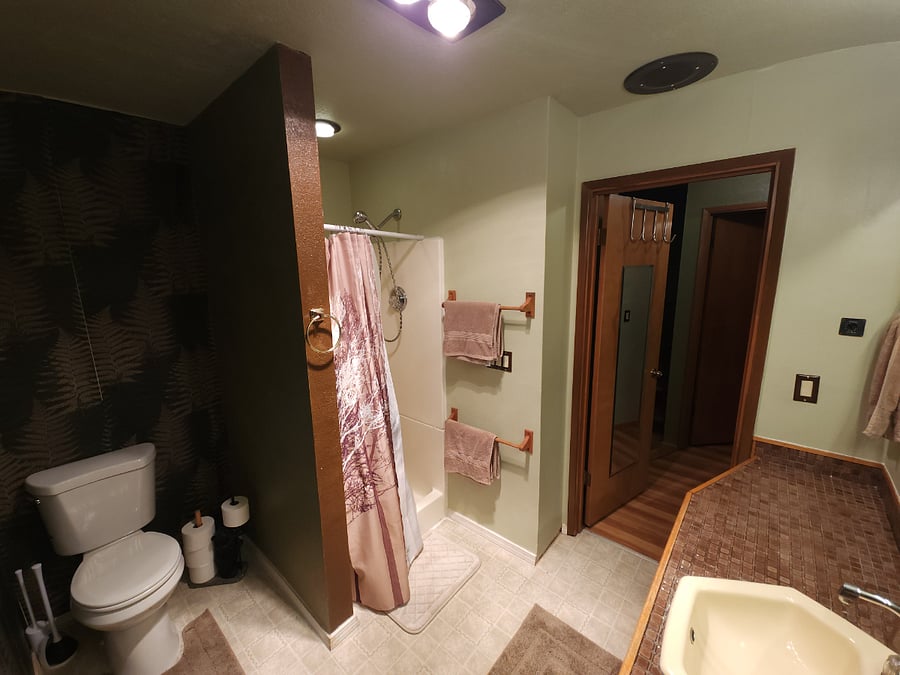 Downstairs/1st Floor bathroom with walk in shower