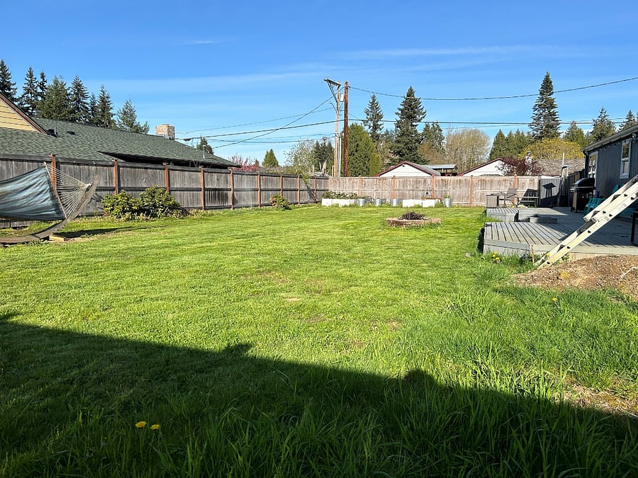 large shared back yard