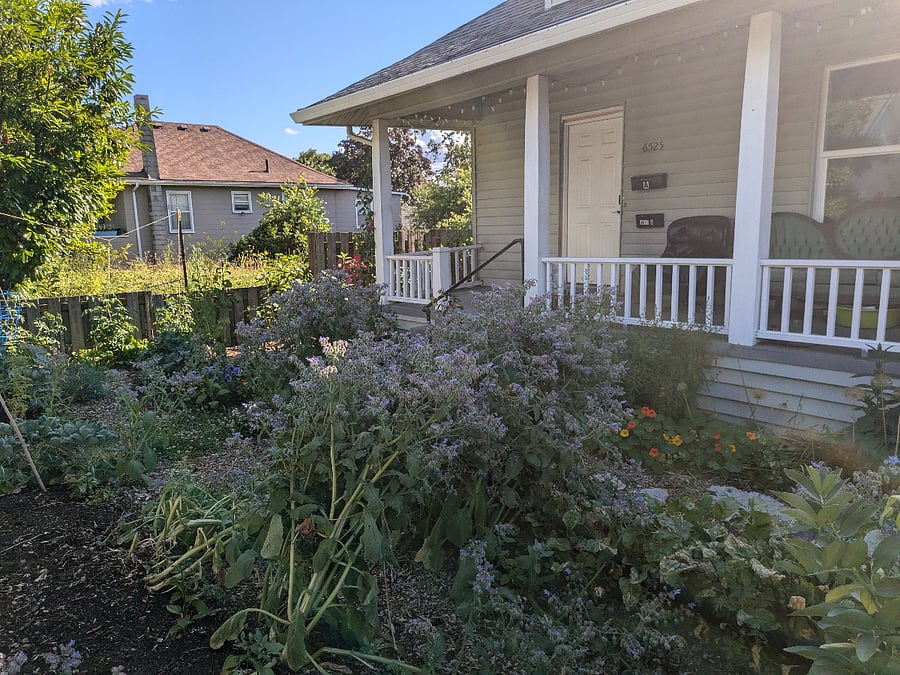 Great front porch. The garden in the summer is glorious!