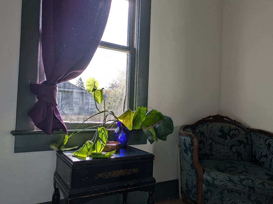 Nice view from your window with a blackout curtain if needed.