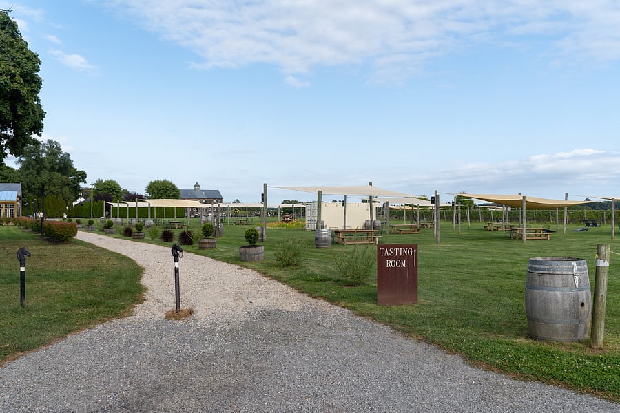 Jamesport Farm Brewery, tasting area