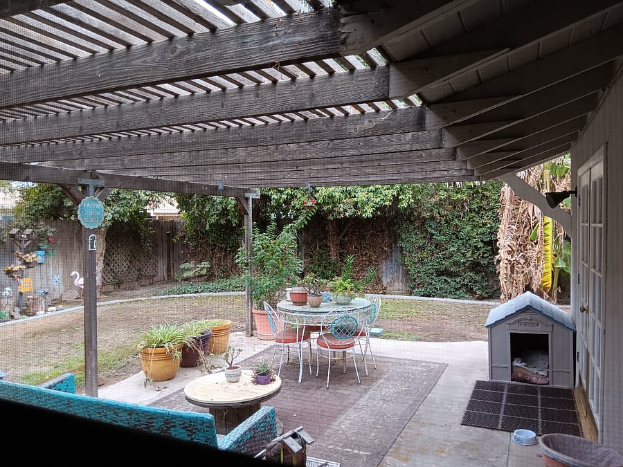 Patio from view of laundry room door.