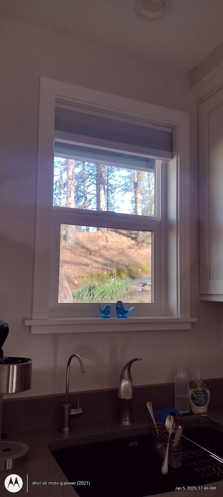 View from kitchen window.