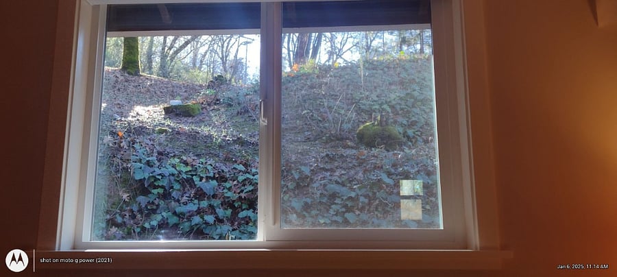 View from bedroom/ living room.