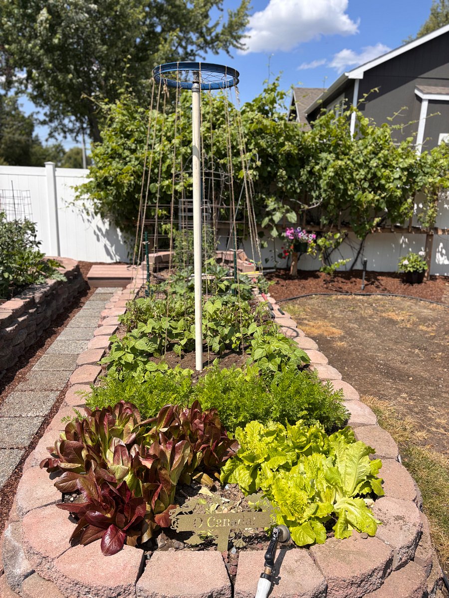Garden fresh vegetables when in season