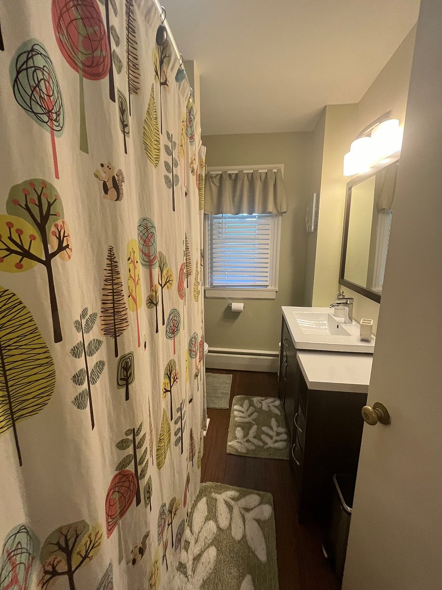 Main bathroom with tub/shower combo (rain shower head)