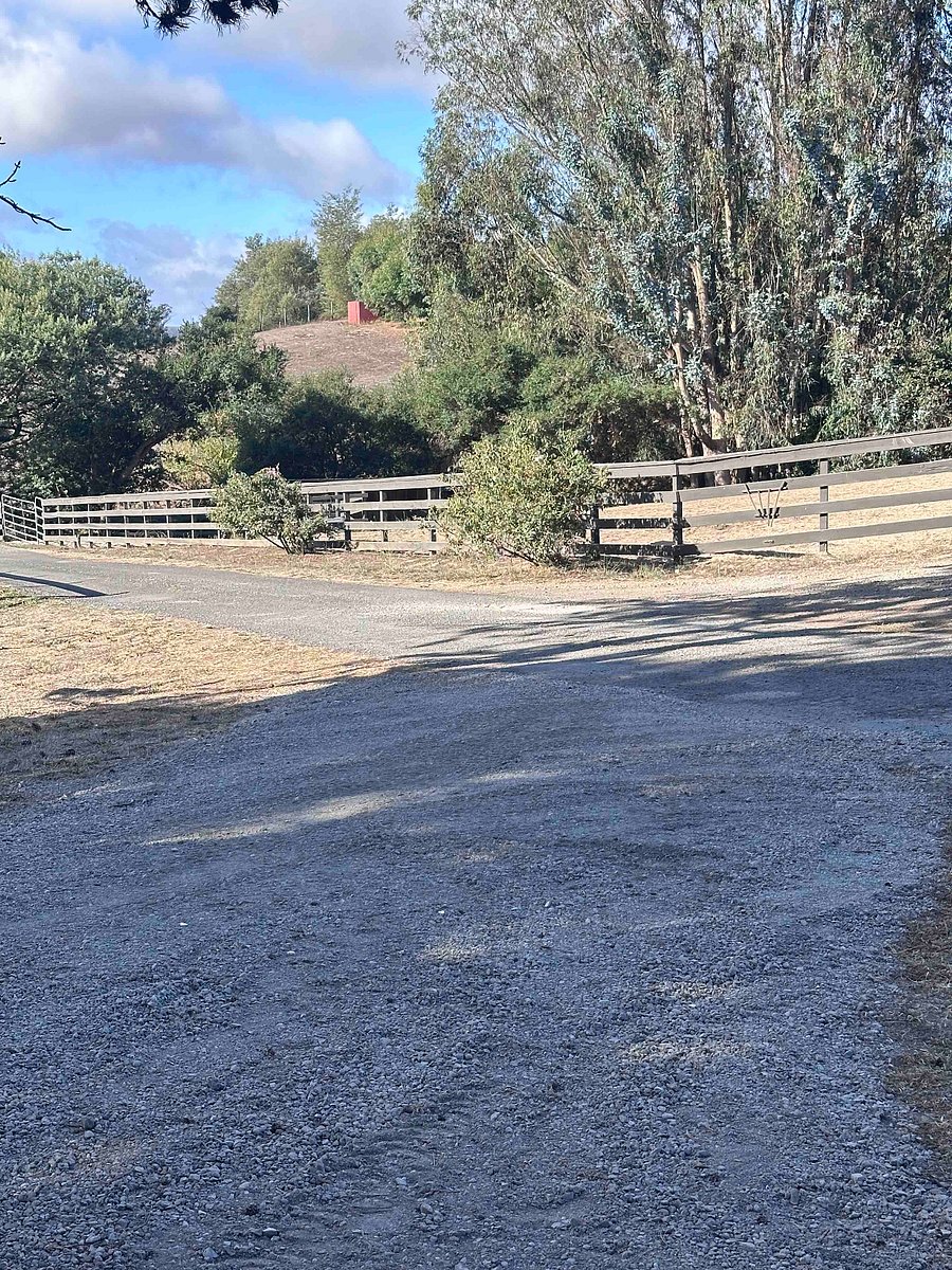 Designated parking space