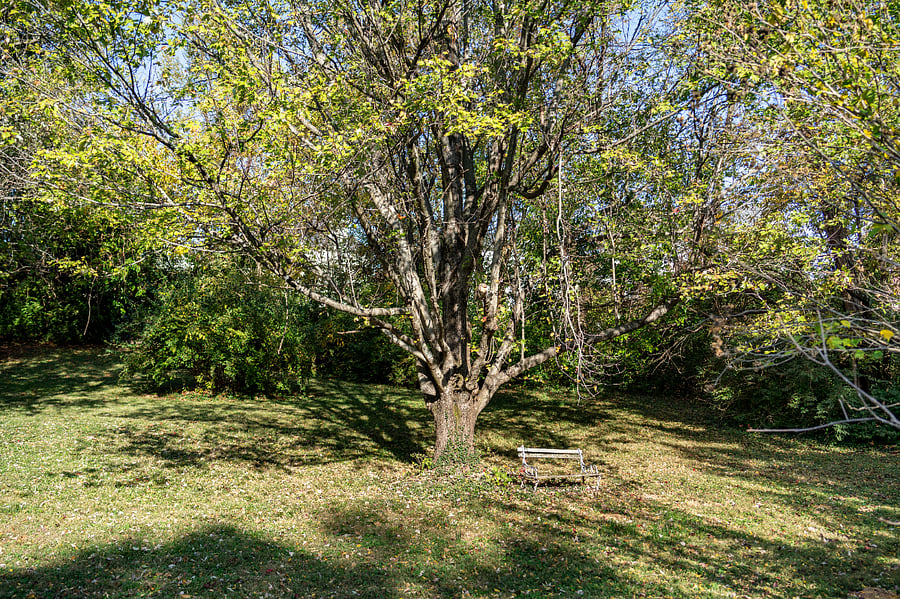 Furnished Finder property 767249_1 photo 43