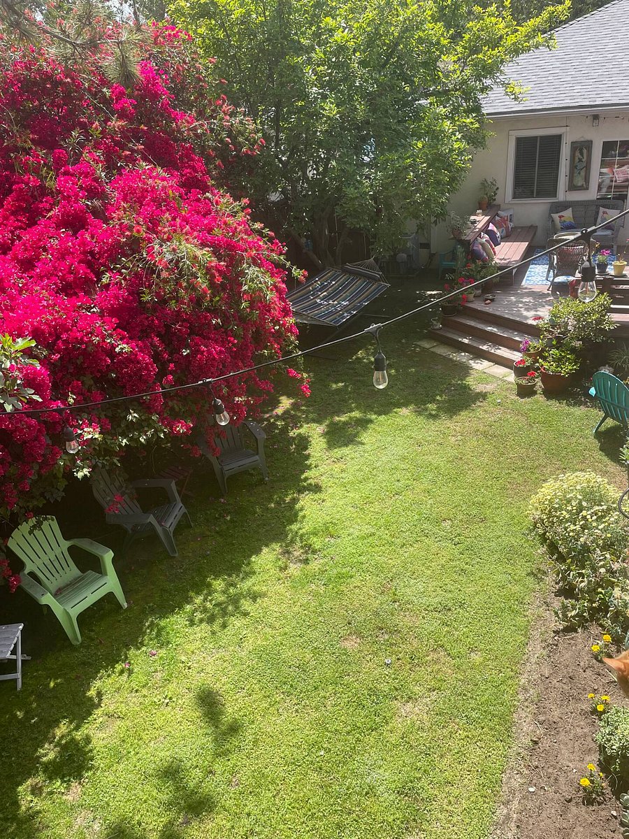 Furnished Finder property 767344_1 photo 18