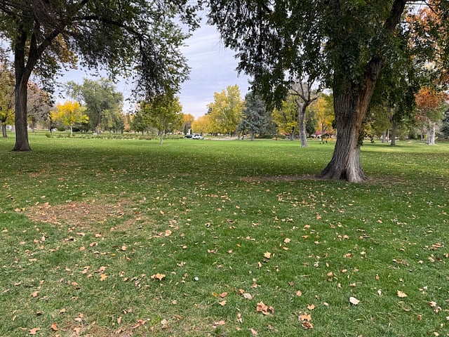 Expansive views of the park