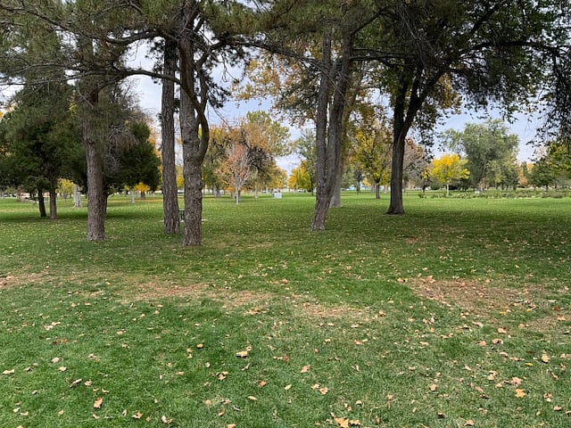 Expansive views of the park.