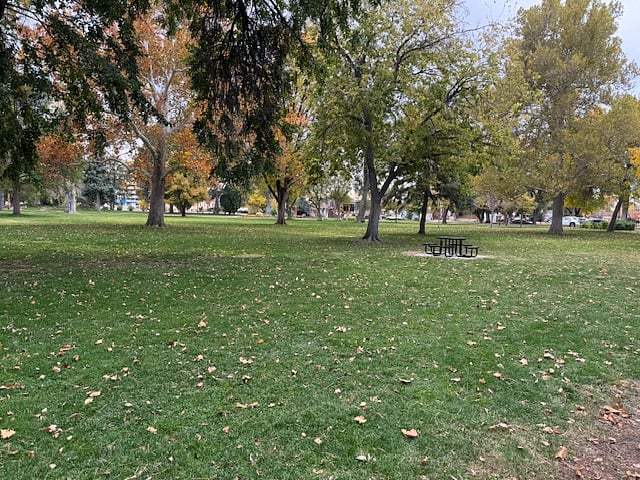 Expansive views of the park.