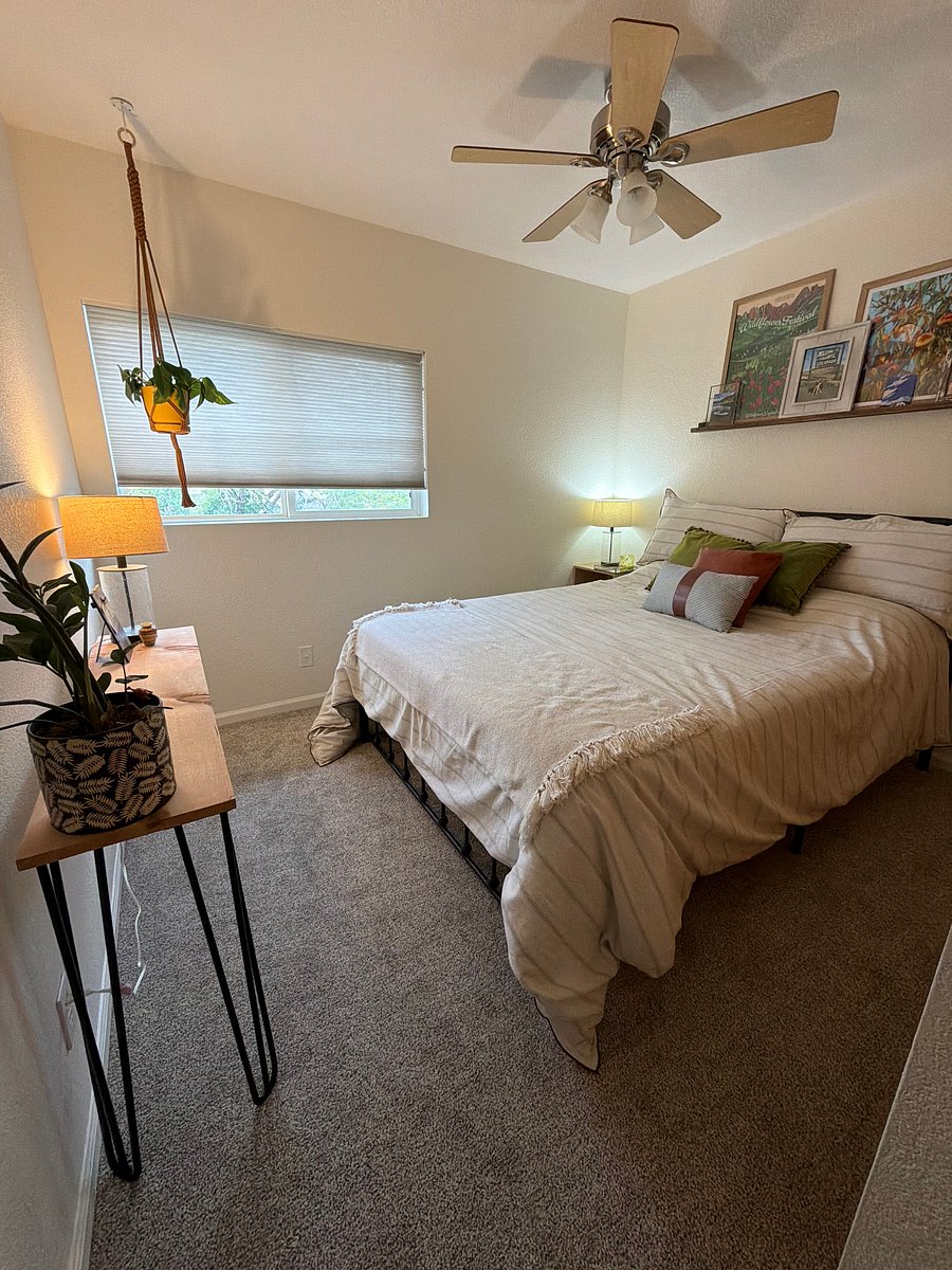 Furnished Finder property 767805_1 photo 5