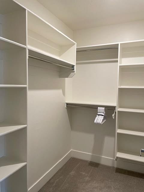 Walk in closet master -3rd level